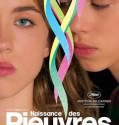 Naissance des pieuvres (2007)