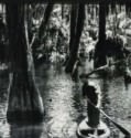 Louisiana Story 1948