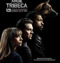 Angie Tribeca (2016-)