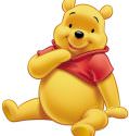 WINNIE THE POOH COLLECTION