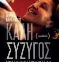 A Good Wife (2017)