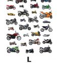 L (2012) DVDRip