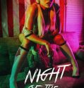 The Babysitter (2017)