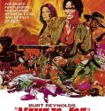 Navajo Joe (1966)
