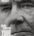 Your Honor  (2020-)